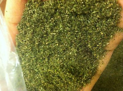 Bulk Catnip 1 Oz--20 Pounds New "2021" Crop Fresh Dried Green **free Shipping***