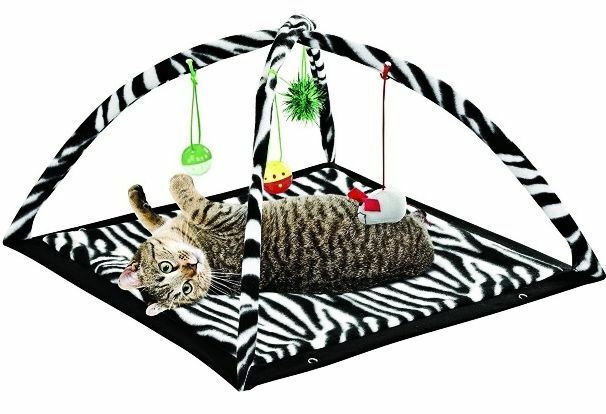 Zebra Print Cat Play Tent With Dangle Toys Pet Interactive Kitty 22"x23"x13 New